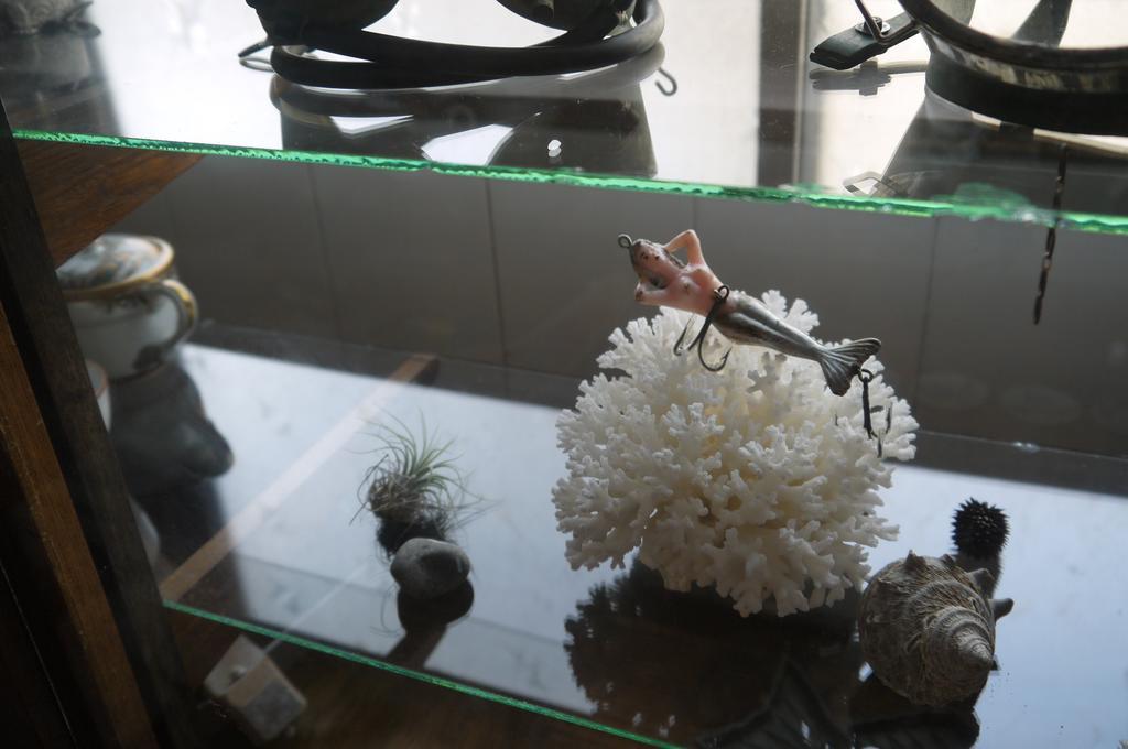 Minatoya Guesthouse 壱岐市 エクステリア 写真